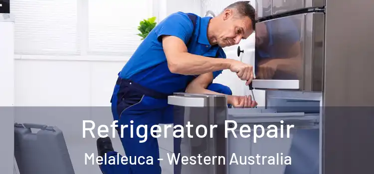 Refrigerator Repair Melaleuca - Western Australia