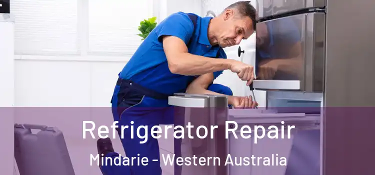 Refrigerator Repair Mindarie - Western Australia