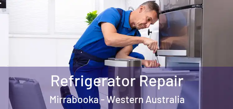 Refrigerator Repair Mirrabooka - Western Australia