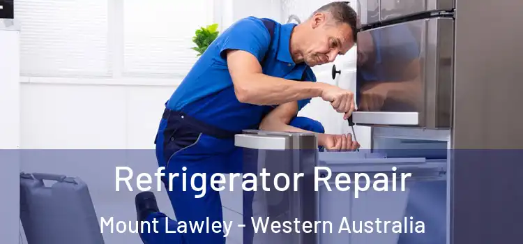 Refrigerator Repair Mount Lawley - Western Australia