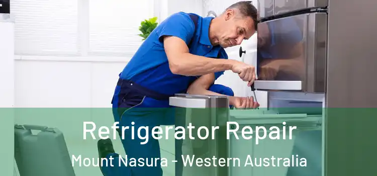 Refrigerator Repair Mount Nasura - Western Australia