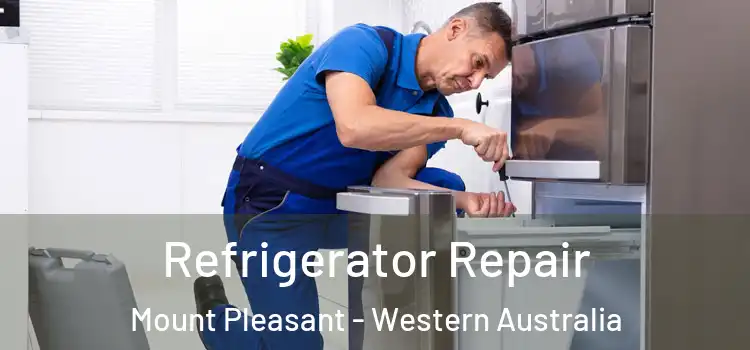 Refrigerator Repair Mount Pleasant - Western Australia