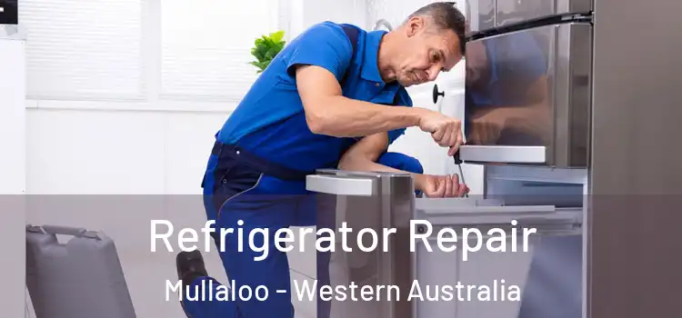 Refrigerator Repair Mullaloo - Western Australia