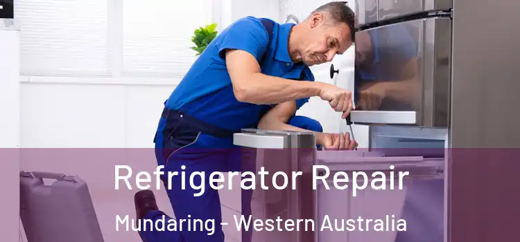 Refrigerator Repair Mundaring - Western Australia