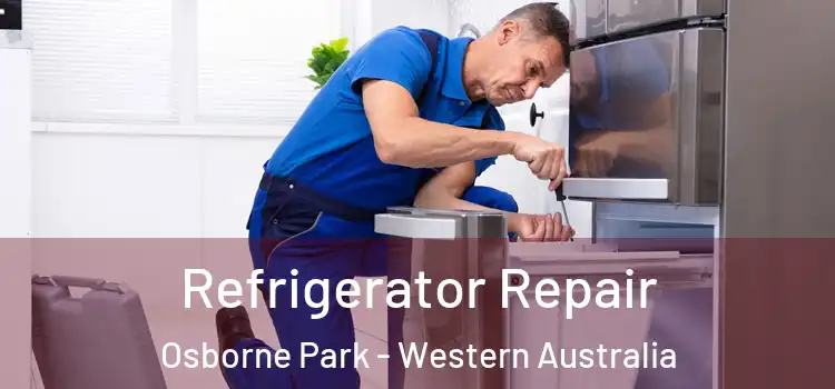 Refrigerator Repair Osborne Park - Western Australia