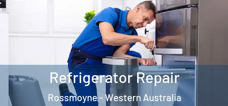 Refrigerator Repair Rossmoyne - Western Australia