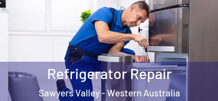 Refrigerator Repair Sawyers Valley - Western Australia