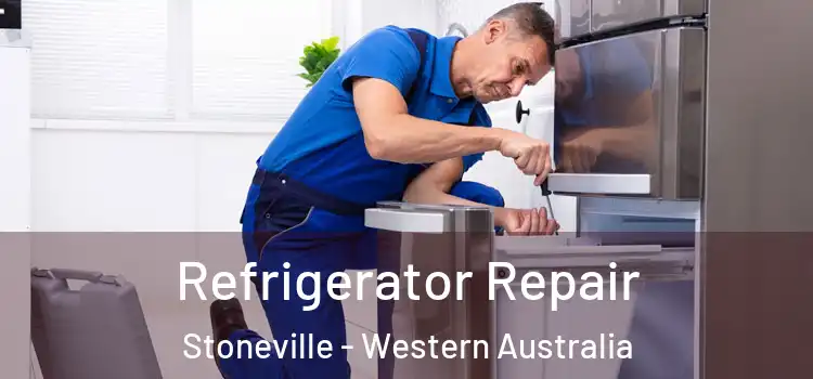Refrigerator Repair Stoneville - Western Australia