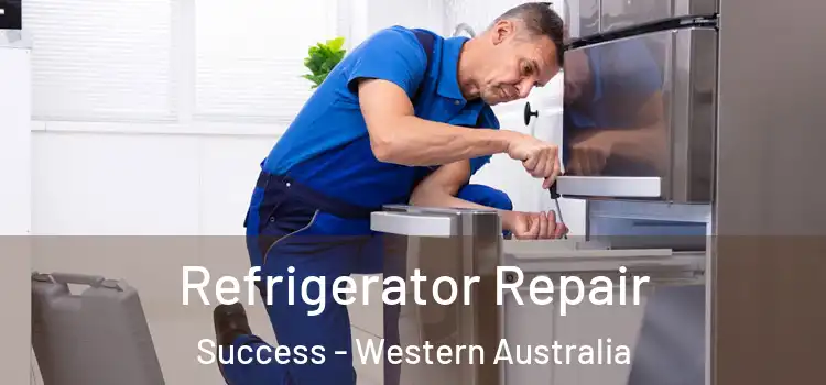 Refrigerator Repair Success - Western Australia