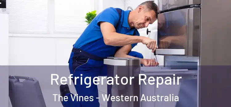 Refrigerator Repair The Vines - Western Australia