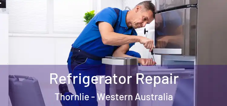 Refrigerator Repair Thornlie - Western Australia