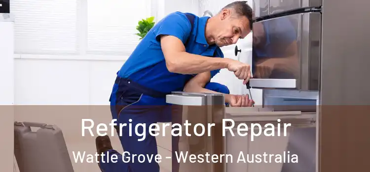 Refrigerator Repair Wattle Grove - Western Australia