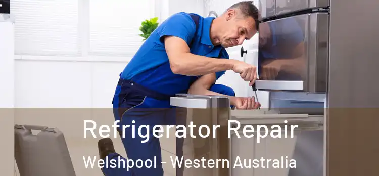 Refrigerator Repair Welshpool - Western Australia