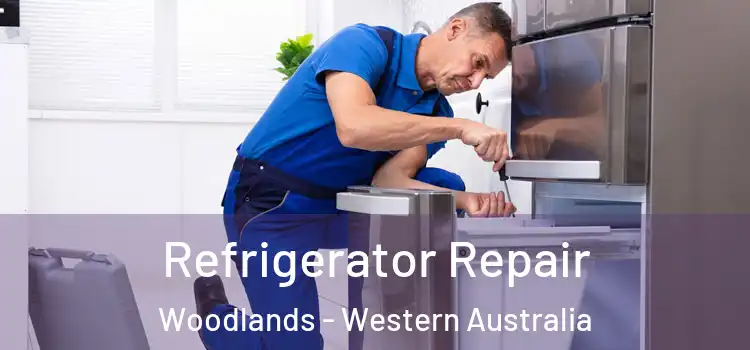 Refrigerator Repair Woodlands - Western Australia