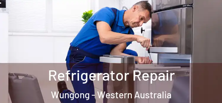 Refrigerator Repair Wungong - Western Australia
