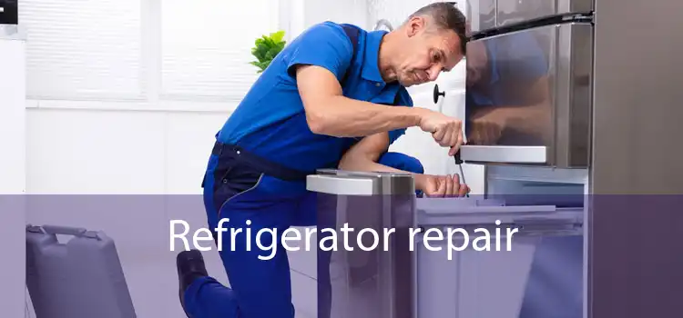 Refrigerator repair
