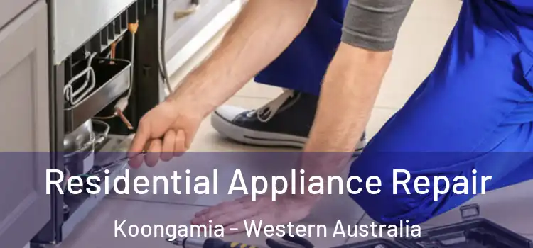Residential Appliance Repair Koongamia - Western Australia