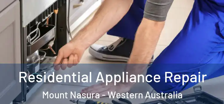 Residential Appliance Repair Mount Nasura - Western Australia
