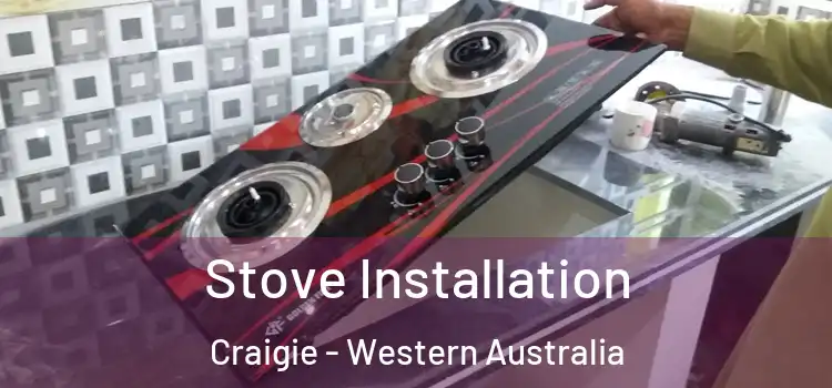 Stove Installation Craigie - Western Australia