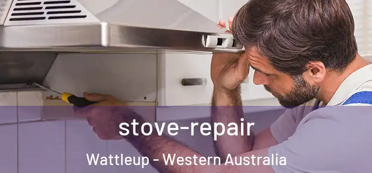 stove-repair Wattleup - Western Australia