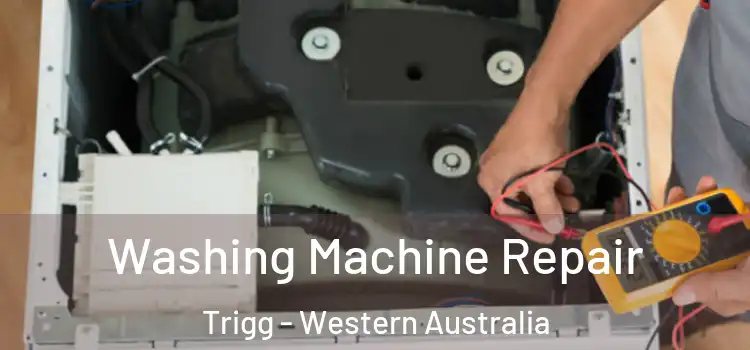 Washing Machine Repair Trigg - Western Australia