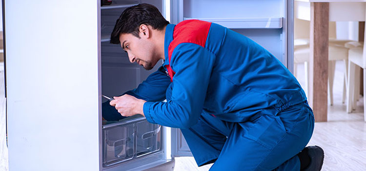 Freezer Repair Services in Perth